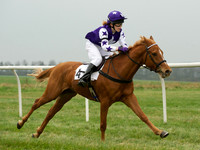 Pony Race 1 -  18