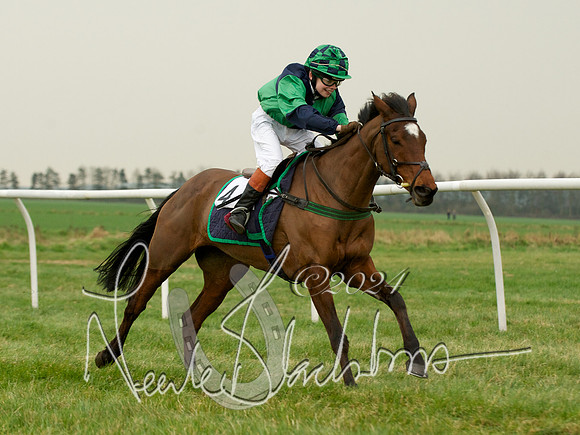 Pony Race 2 -  2