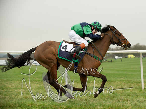 Pony Race 2 -  5