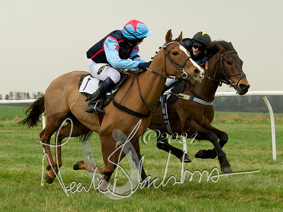 Pony Race 2 -  8
