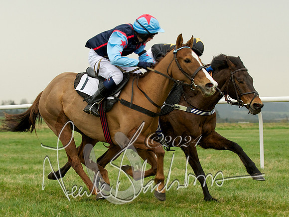 Pony Race 2 -  9