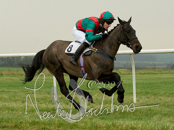 Pony Race 2 -  12