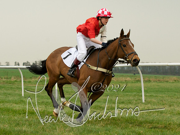 Pony Race 2 -  14