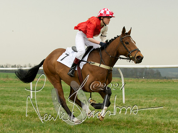 Pony Race 2 -  15