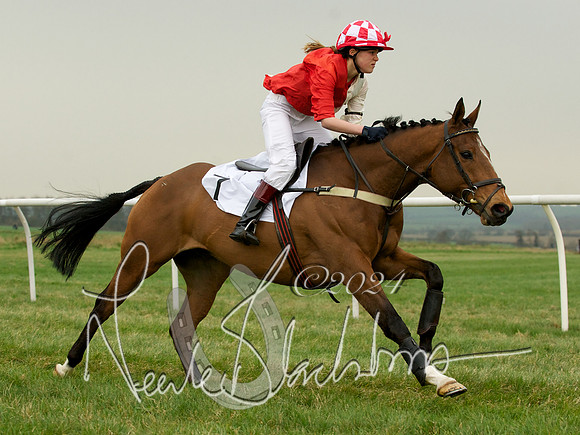 Pony Race 2 -  16