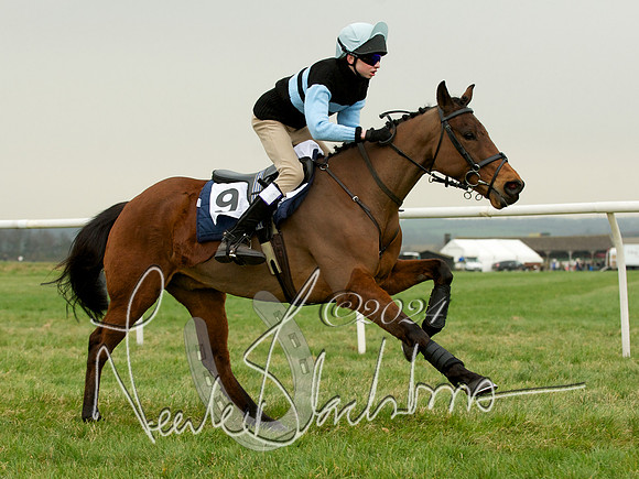 Pony Race 2 -  21