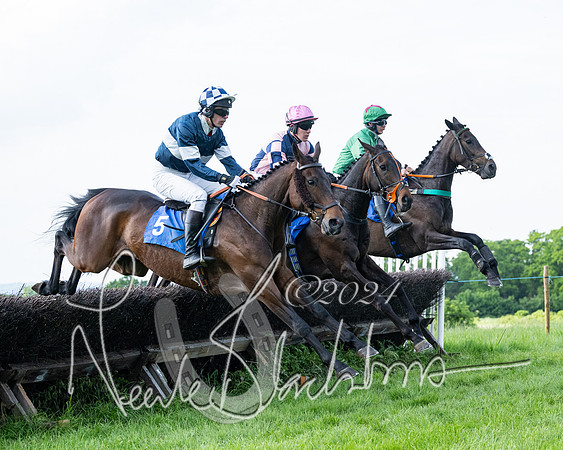 Race 5  - Maiden race 2m5F Div-2 (135 of 205)