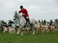 Fitzwilliam Hunt  9