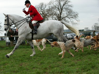 Fitzwilliam Hunt  10