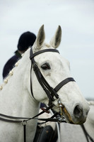 Fitzwilliam Hunt  14