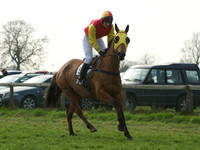 Ladies 5