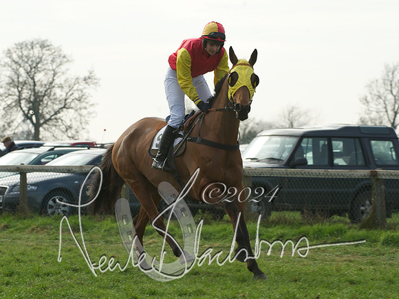 Ladies 5