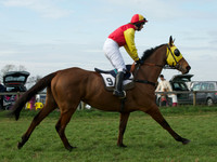 Ladies 6