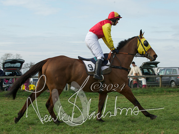 Ladies 6