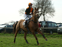 Ladies 7