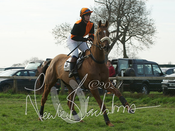 Ladies 7
