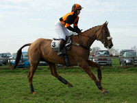 Ladies 8