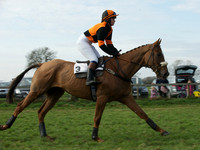 Ladies 9