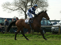 Ladies 10