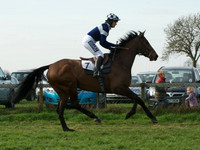 Ladies 11