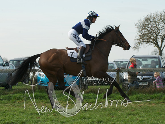Ladies 11