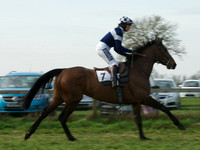Ladies 12
