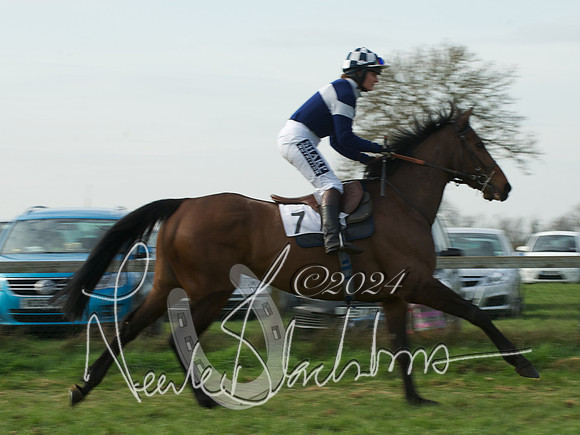 Ladies 12