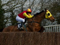 Ladies 18