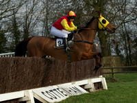 Ladies 19