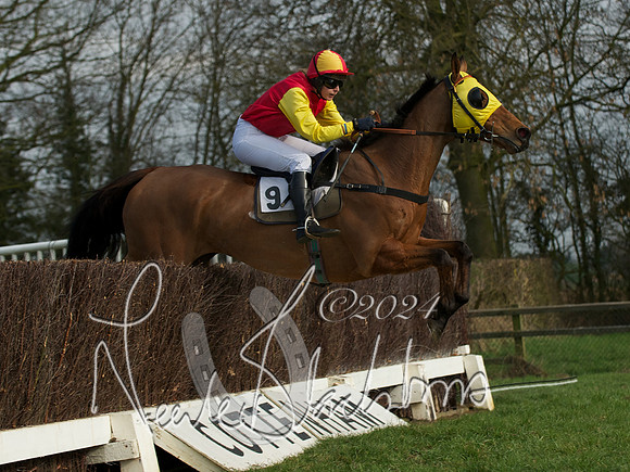 Ladies 19