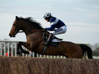Ladies 22