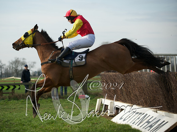 Ladies 26