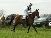 Mens 9