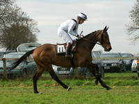 Mens 10