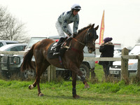 Mens 14