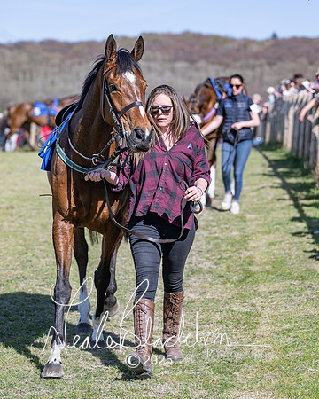 Race 5 - The restricted (7 of 113)