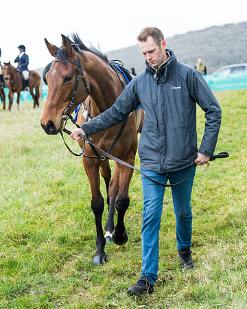 Race 1 - 4 and 5 year old Maiden  (19 of 116)