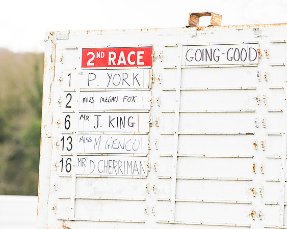 Race 2 - PPORA Club members Veteran Horse  (1 of 1)