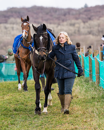Race 2 - PPORA Club members Veteran Horse  (1 of 119)