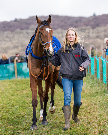 Race 2 - PPORA Club members Veteran Horse  (2 of 119)