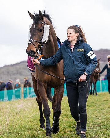 Race 2 - PPORA Club members Veteran Horse  (4 of 119)