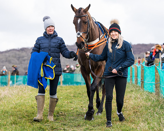 Race 2 - PPORA Club members Veteran Horse  (5 of 119)