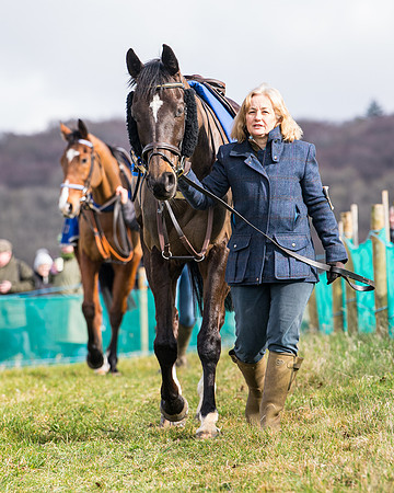 Race 2 - PPORA Club members Veteran Horse  (6 of 119)