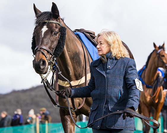 Race 2 - PPORA Club members Veteran Horse  (7 of 119)