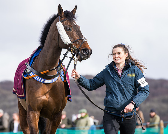 Race 2 - PPORA Club members Veteran Horse  (9 of 119)
