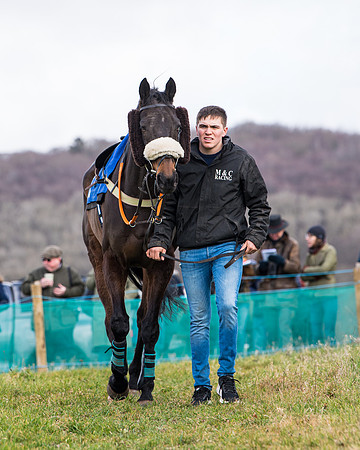 Race 2 - PPORA Club members Veteran Horse  (12 of 119)