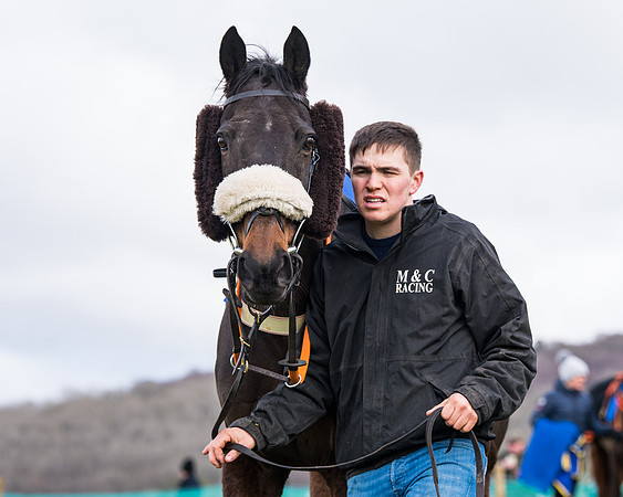 Race 2 - PPORA Club members Veteran Horse  (14 of 119)