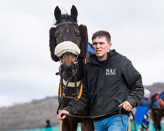 Race 2 - PPORA Club members Veteran Horse  (13 of 119)