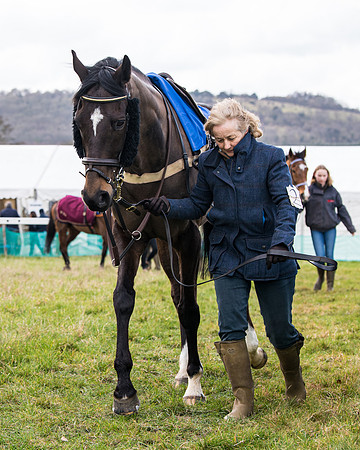 Race 2 - PPORA Club members Veteran Horse  (15 of 119)
