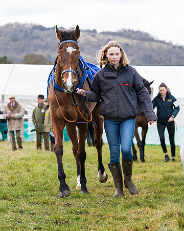 Race 2 - PPORA Club members Veteran Horse  (16 of 119)